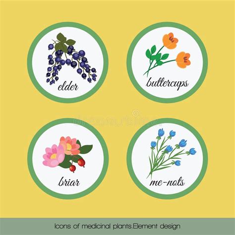 Iconos De Las Plantas Medicinales 6 Ilustración Del Vector