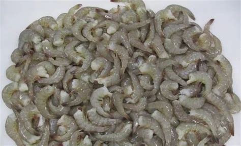 Hlso Vannamei Shrimp For Restaurant Packaging Type Thermocol Box At