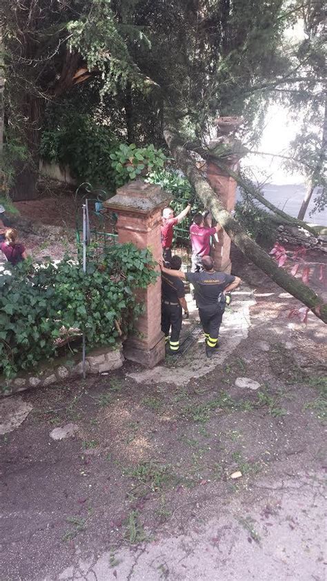 Un Grosso Ramo Si Schianta Al Suolo Paura In Via Vivaldi