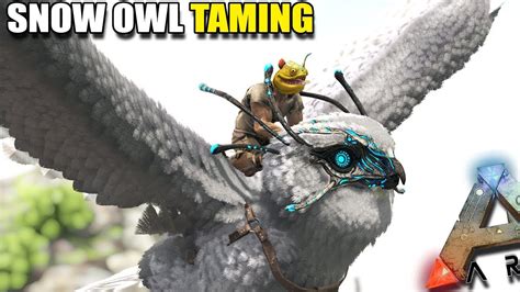 How To Tame A Snow Owl In Ark