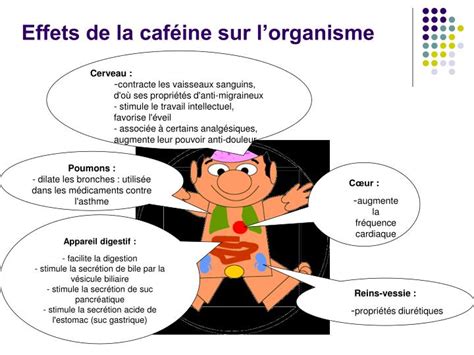 Ppt Etude De La Cafeine Powerpoint Presentation Id