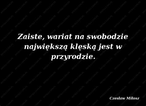 Czesław Miłosz Cytaty Sławnych Ludzi Mysli pl