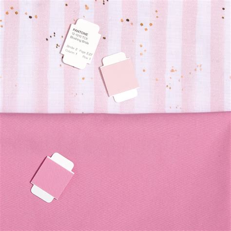Pantone彩通潘通国际标准纺织行业用 Tcx棉布版色票套装 Pantone Fashion Home Interiors