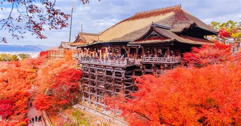 Kinkaku Ji Kiyomizu Dera And Fushimi Inari Taisha One Day Bus Tour