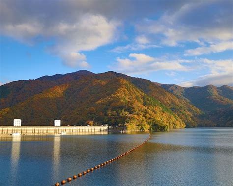 奥多摩奥多摩湖畔の紅葉東京都 ｜紅葉名所2023 ウォーカープラス