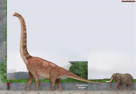 Brachiosaurus Size by SameerPrehistorica on DeviantArt