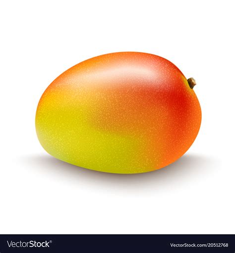 Mango fruit isolated on white background Vector Image