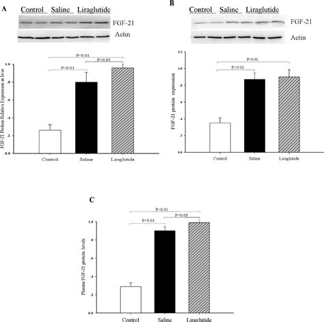 Figure From Liraglutide Increases Fgf Activity And Insulin