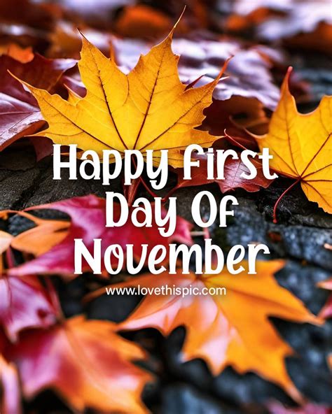 Vibrant Fall Leaves - Happy First Day Of November Pictures, Photos, and ...