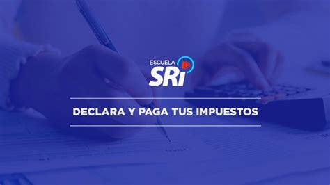 Declara y paga La guía definitiva para cumplir con tus obligaciones