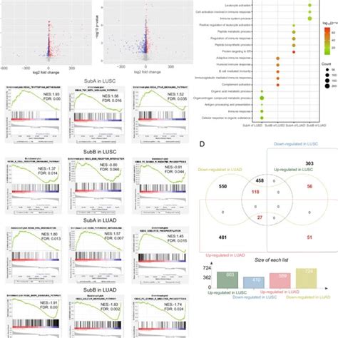 Identification Of Degs Of Subtypes And Functional Enrichment Analysis