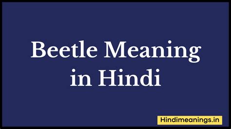 Beetle Meaning In Hindi