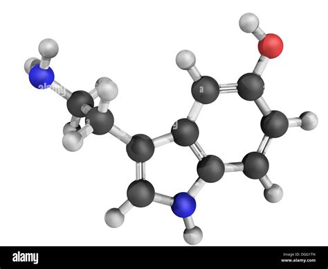 Chemical Structure Of Serotonin An Important Neurotransmitter