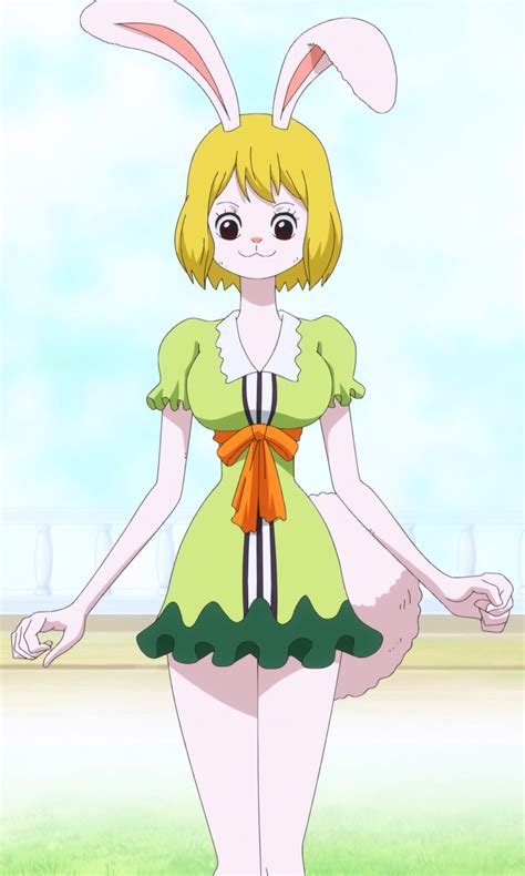 One Piece Carrot Tumblr Manga Anime One Piece One Piece Anime One Piece Nami