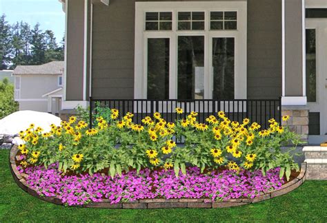 Black Eyed Susan Plant Backyard Landscaping Guzmans Garden Centers