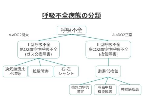 呼吸不全とは？｜しまたろう｜note