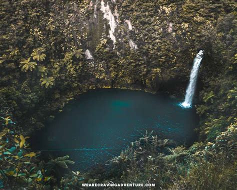 5 Best Waterfalls In New Zealand – Craving Adventure