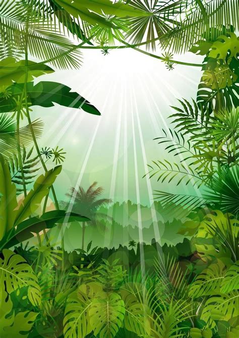 Forest Landscape Of Tropical Background With Sunrays Tropical