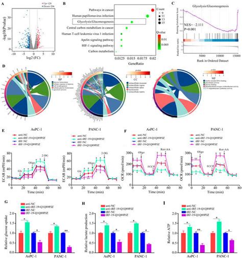 Biomolecules Free Full Text Trf Q Q Pjz Suppresses The