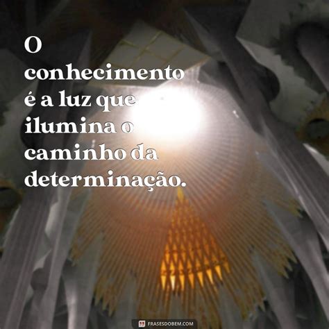Frases De Determinação E Sabedoria - Frases Inspiradoras de Determinação e Sabedoria para Transformar Sua ...