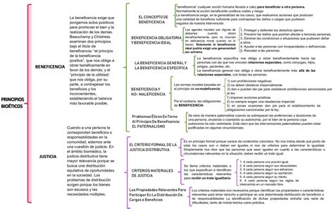 Cuadro Sinóptico Sobre Los Principios Que Rigen A La Bioética Masscience