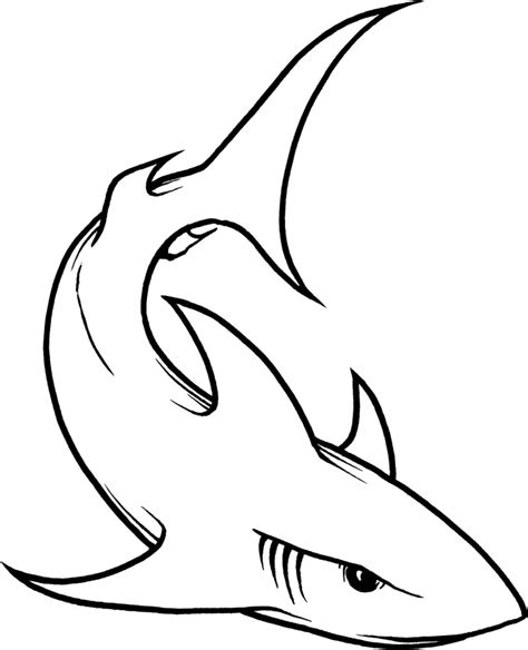 shark drawing clipart