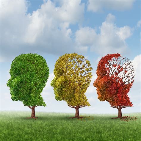 Israeli Researchers Stop The Brain From Aging To Prevent Alzheimer's