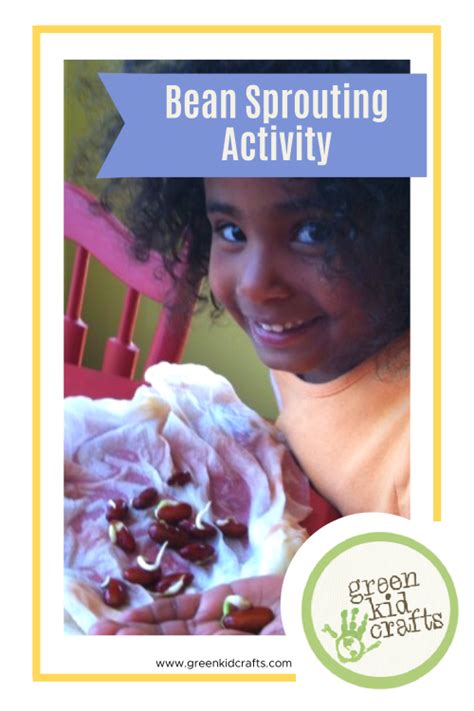 Bean Sprouting Activity Green Kid Crafts