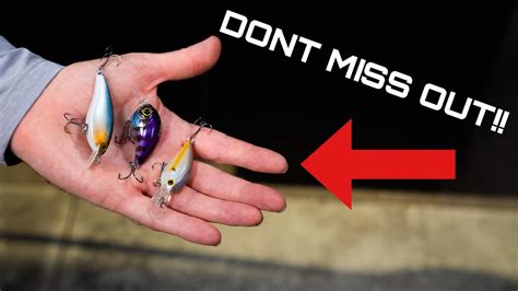 Our Top Favorite Small Crankbaits That Absolutely Catch Fish You