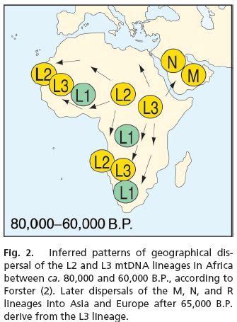 Archaic Admixture In Africans African Africa Map Dna Genealogy