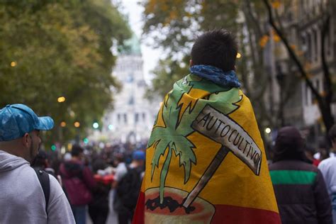 Como Cada A O La Marcha Mundial De La Marihuana Volvi A Expresar Su