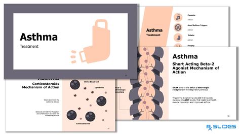 Download Bronchial Asthma Powerpoint Template Rxslides