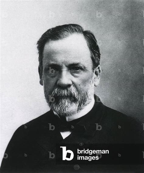 Image Of Louis Pasteur French Chemist And Microbiologist