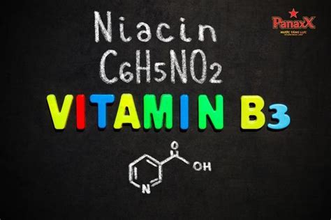 Vitamin B3 Niacin Là Gì Công Dụng Liều Lượng Sử Dụng Của Vitamin B