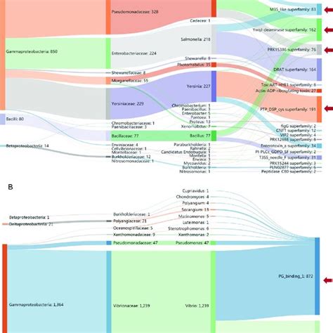 The Taxonomic Distribution Of Tcc Hvrs And Evolved Vgrg C Terminal