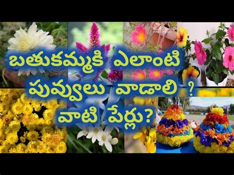 Bathukamma Flowers Names In Telugu Best Flower Site