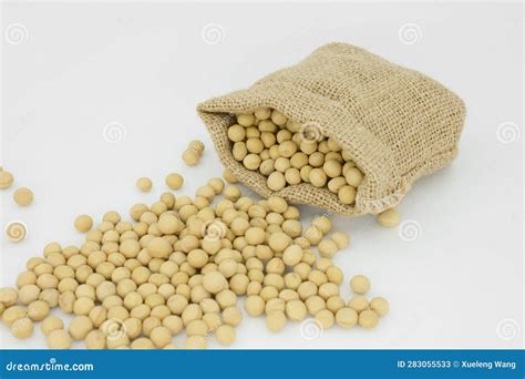 A Bag Of Soybeans With White Background Stock Image Image Of Dish