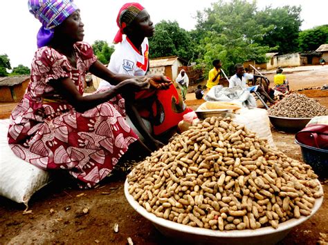 Cameroon Boiled Peanuts The Seeds That Save Poverty 237online