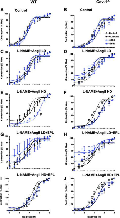 Effect Of Ex Vivo Blockade Of No Cgmp Or Endothelium Removal On