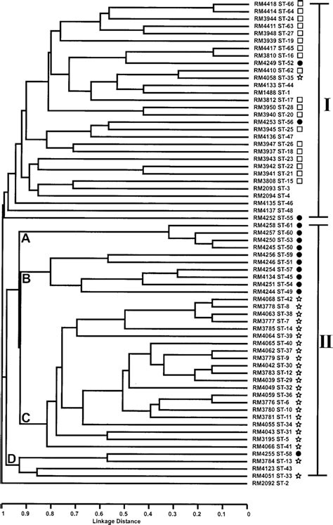 Upgma Clustering Of C Upsaliensis Strains South African C