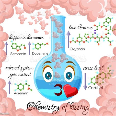 Chimie Du Baiser Cartoon Style Infographie Aux Hormones Qui Sont Libérées Au Cours De Lembrasser