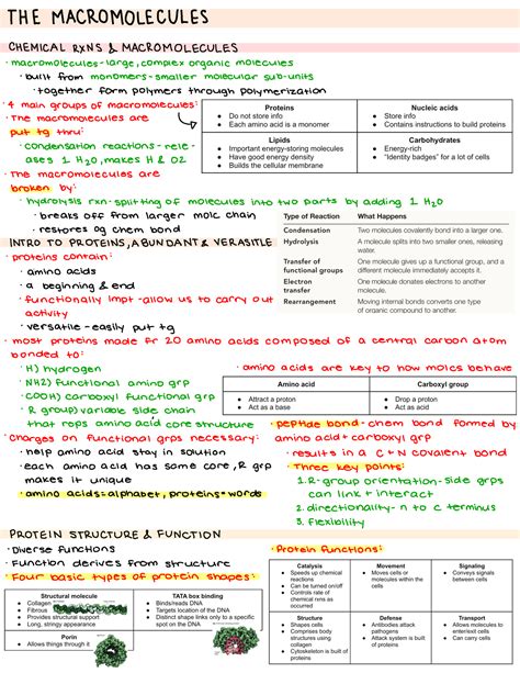 The Macromolecules Notes BIOL 110 THEMACROMOLECULES CHEMICAL RXNS