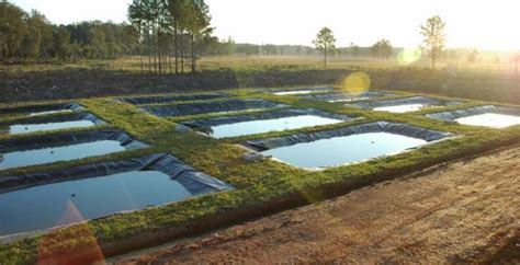 Tipos De Tanque Para Piscicultura Veja As Diferen As Instrusul