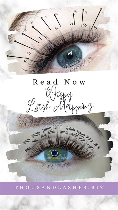 A Comprehensive Guide To Lash Mapping Artofit