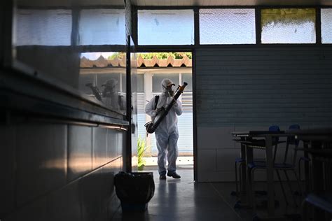 Epidemia de dengue en Latinoamérica alcanza cifras alarmantes en primer