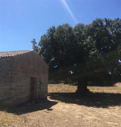 Le Chiese Campestri Della Sardegna Lettura