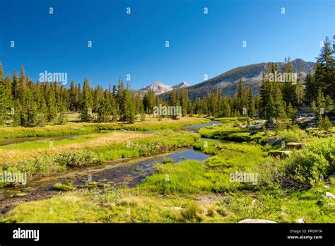 The View Along The John Muir Trail At Rosemarie Meadow And The West