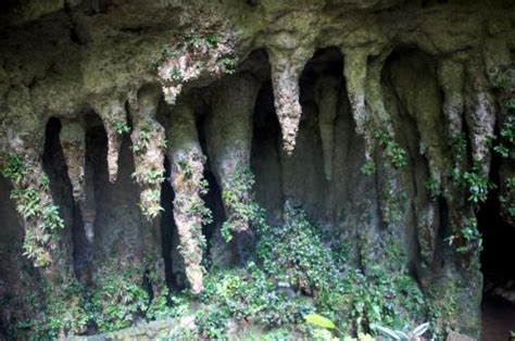 Camuy River Caves Park : Puerto Rico | Visions of Travel