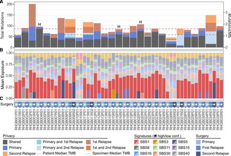 Tumor Mutational Burden And Purity Adjustment Before And After