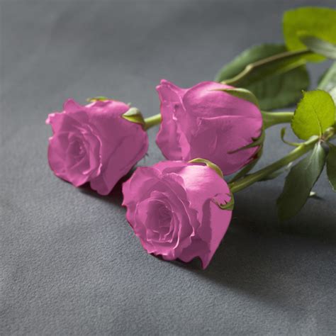 Home - Rose Funeral Home & Cremation Service